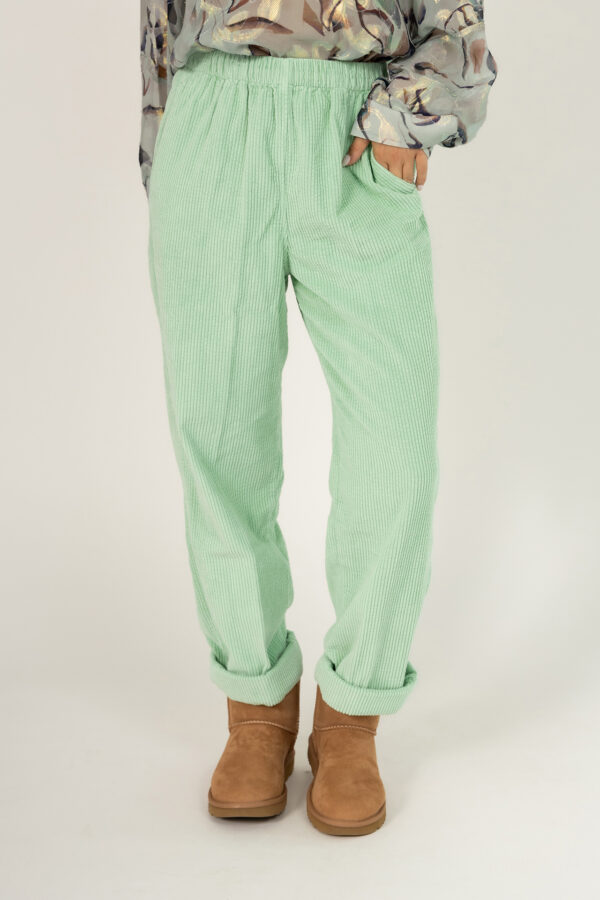 American vintage broek